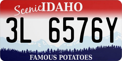ID license plate 3L6576Y