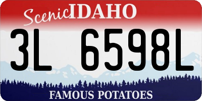 ID license plate 3L6598L