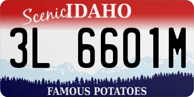 ID license plate 3L6601M