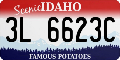 ID license plate 3L6623C