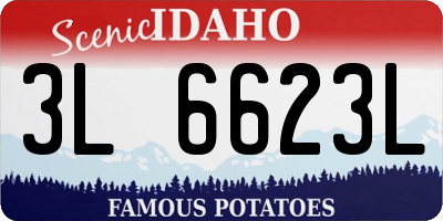 ID license plate 3L6623L