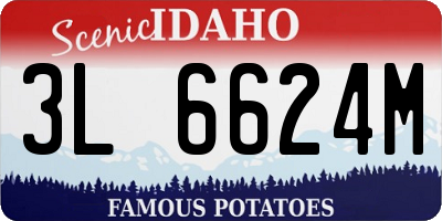 ID license plate 3L6624M