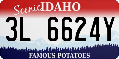 ID license plate 3L6624Y
