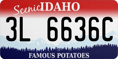 ID license plate 3L6636C