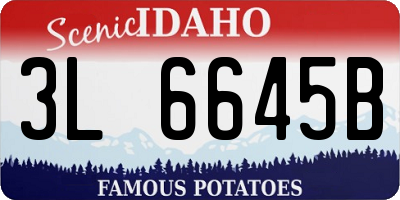 ID license plate 3L6645B