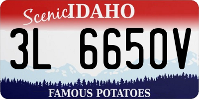 ID license plate 3L6650V