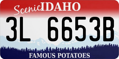 ID license plate 3L6653B
