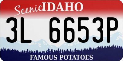 ID license plate 3L6653P