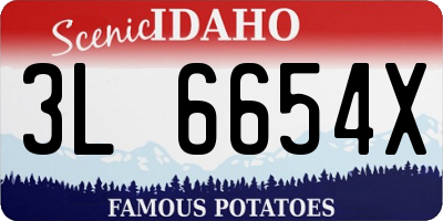 ID license plate 3L6654X