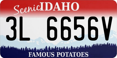 ID license plate 3L6656V