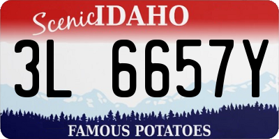 ID license plate 3L6657Y