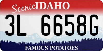 ID license plate 3L6658G