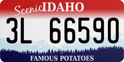 ID license plate 3L6659O