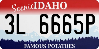 ID license plate 3L6665P