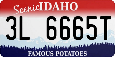 ID license plate 3L6665T