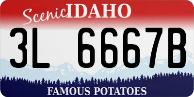 ID license plate 3L6667B