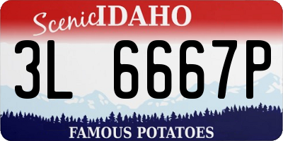 ID license plate 3L6667P