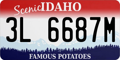 ID license plate 3L6687M