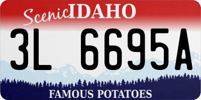 ID license plate 3L6695A
