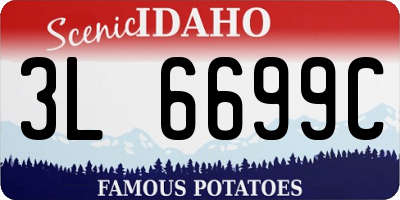 ID license plate 3L6699C