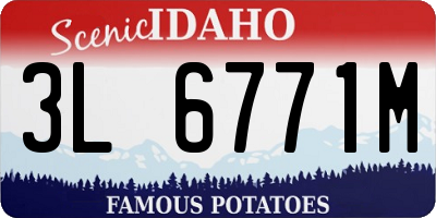 ID license plate 3L6771M