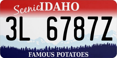 ID license plate 3L6787Z