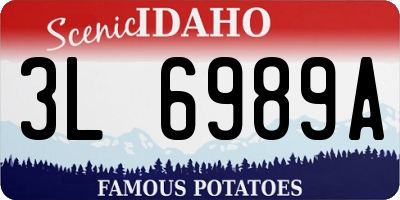 ID license plate 3L6989A