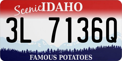 ID license plate 3L7136Q
