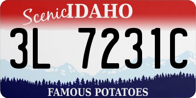 ID license plate 3L7231C