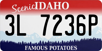 ID license plate 3L7236P