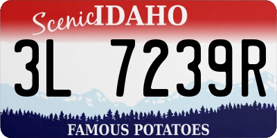 ID license plate 3L7239R