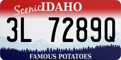 ID license plate 3L7289Q