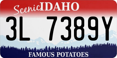 ID license plate 3L7389Y