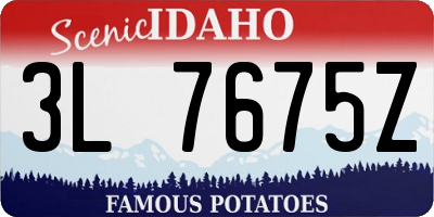 ID license plate 3L7675Z