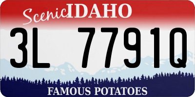 ID license plate 3L7791Q