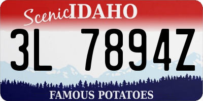 ID license plate 3L7894Z