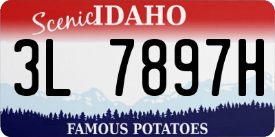ID license plate 3L7897H