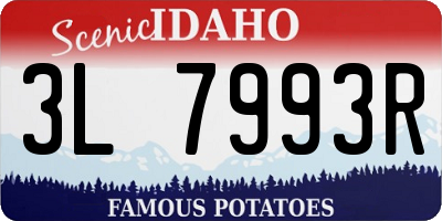 ID license plate 3L7993R