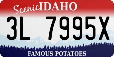 ID license plate 3L7995X