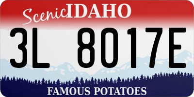 ID license plate 3L8017E
