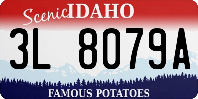 ID license plate 3L8079A