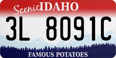 ID license plate 3L8091C