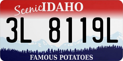 ID license plate 3L8119L