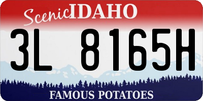 ID license plate 3L8165H