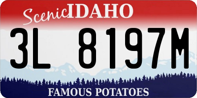 ID license plate 3L8197M