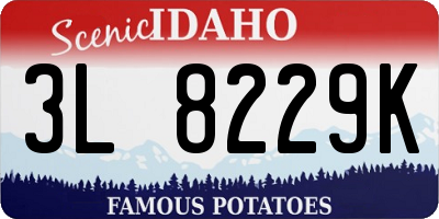 ID license plate 3L8229K