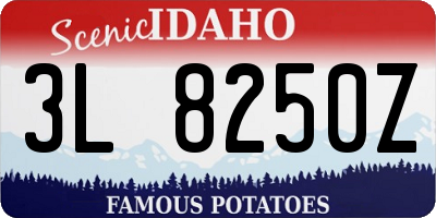 ID license plate 3L8250Z