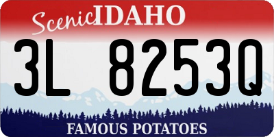 ID license plate 3L8253Q