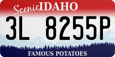 ID license plate 3L8255P