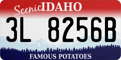 ID license plate 3L8256B